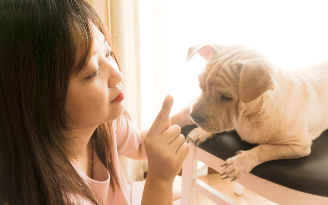 5 Reasons You Should Not Yell at Your Dog